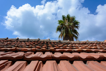 tiled roof of red clay on a blue sky with clouds and a high date palm