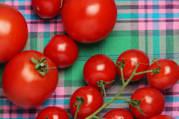 Tomatoes on the table