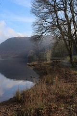 Lakeland landscape