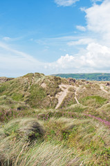 Fototapeta na wymiar Sand dunes by the coastline of Wales.