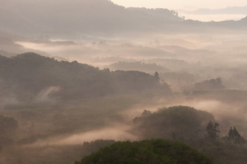 flowing fog waves on mountain tropical rainforest in phang nga thailand.