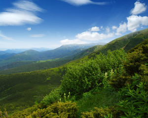 Obraz premium Mountain landscape in summer