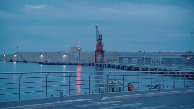 Grue port de Nice