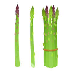 Bright vector collection of colorful cartoon asparagus isolated on white