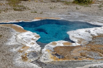 Blue Star Spring