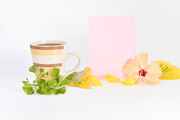 cofee cup and coloured board for copy space isolated on white background.