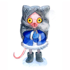 Frozen cat in a fur coat and boots