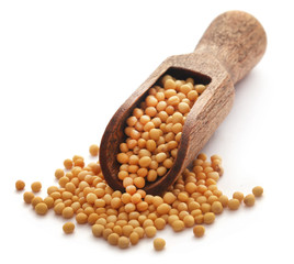 Golden Mustard