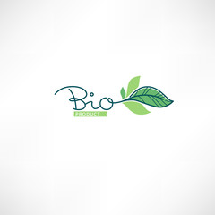 Bio Product doodle organic leave emblem,  frame and logobeauty of nature doodle organic leave emblem, label  and logo
