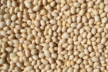 White beans laid out on a table used as a background or decoration element.