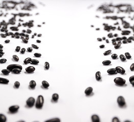 Kidney beans scattered over white background
