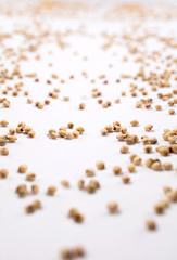 Beans scattered over white background