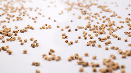 Beans scattered over white background