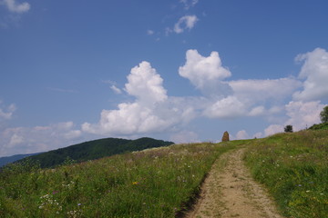 mountain slopes green trees and mountains