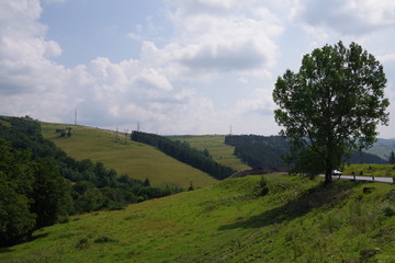 mountain slopes green trees and mountains