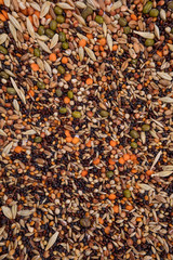Top view close up of a different beans and seeds on a white background