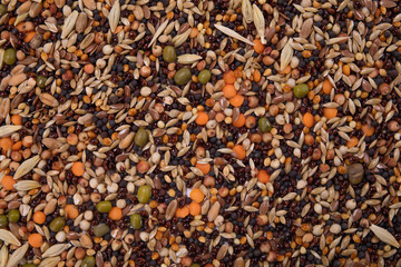 Top view close up of a different beans and seeds on a white background