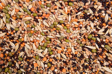 Top view close up of a different beans and seeds on a white background