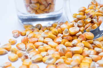 Macro view of natural organic corn beans on background