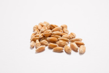 Macro view of natural organic wheat grain beans on background