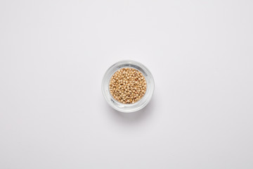 Corn seeds scattered over white background