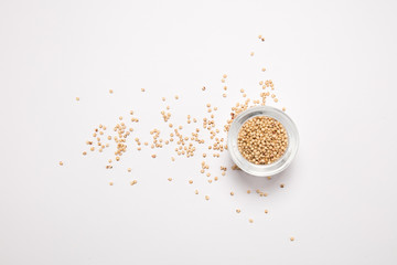 Corn seeds scattered over white background