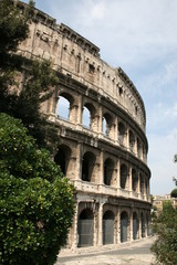 Fototapeta na wymiar Colosseum Rome, Italy