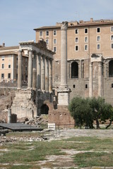 Obraz premium The Foca Column in the Roman Forum. Rome