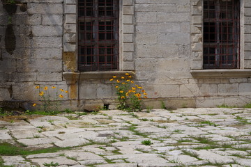 old castle and fortress walls