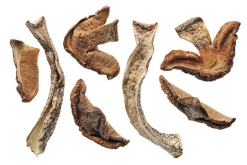 A small dry pieces of forest mushroom that grows under the birch.