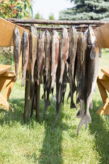 wędzenie ryb, pstrąg, jesiotr, węgorz © Arkadiusz