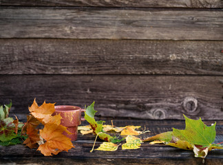 Naklejka na ściany i meble Autumn background with dry leaves, Cup with drink, rain drops on dark brown bench. Copy space, side view