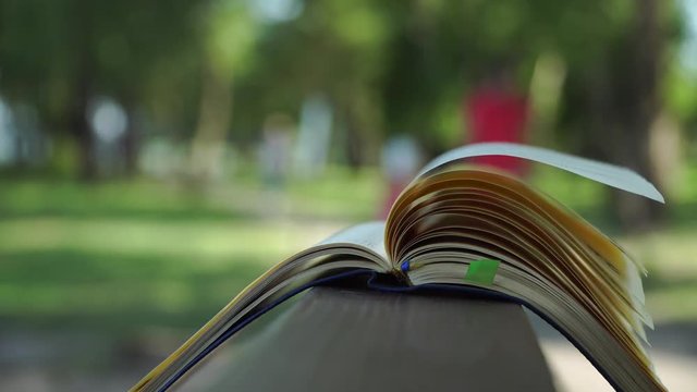 Wind turns the pages of open Notebook lies on wooden handrail in park, business concept