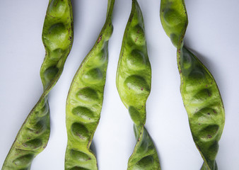 stink bean , bitter bean , parkia speciosa ( petai ), twisted cluster bean southern food of asian Thailand . smelly good vegetable herb