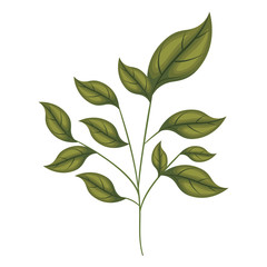 branch with leafs ecology icon vector illustration design