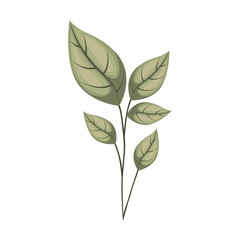 branch with leafs ecology icon vector illustration design