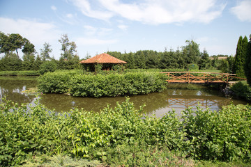 staw, wyspa z altanką © Arkadiusz