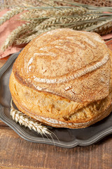 Sourdough homemade round white wheat bread close up