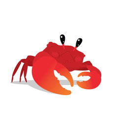 Cute Crab in a cool pose. Colorful vector illustration of underwater character Red Crab with orange claw in flat cartoon style isolated on white background. Element for your design.