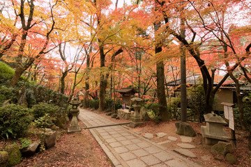 Fall Japanese Garden Scene at a Temple in Hiroshima, Japan
