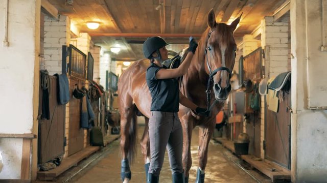 Female jockey is brushing crest of a horse