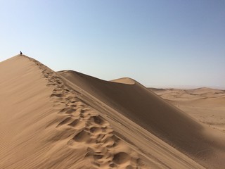 Dune 7