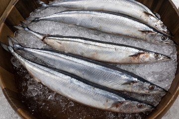 fresh fishes in ice bucket for display at seafood restaurant or fresh market