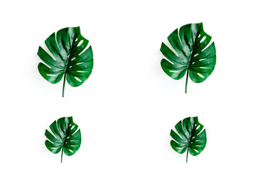Monstera leaf collage on white concrete background.