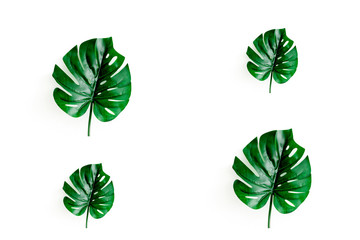 Monstera leaf collage on white concrete background.