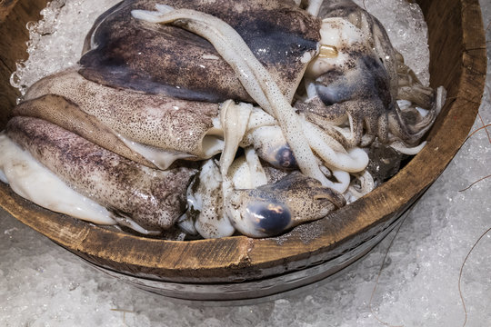 fresh squids in ice bucket for display at seafood restaurant or fresh market