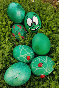 Funny Crazy Cute Easter Green Eggs with Ladybirds