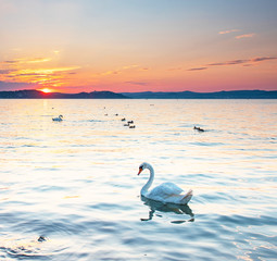 Fototapeta premium Sunset over lake Balaton in summer