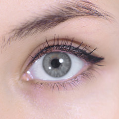 close up.beautiful women eye. macro image