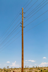 A telegraph pole in the Arizona desert